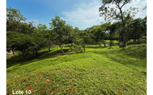 Lotes en venta Orotina La Ceiba