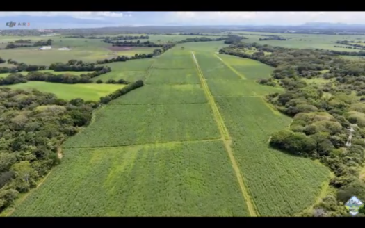 Finca en venta de 115 hectáreas en Barranca, Puntarenas