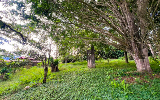 Lote en Venta en San Ramón de La Unión – Rodeado de Naturaleza