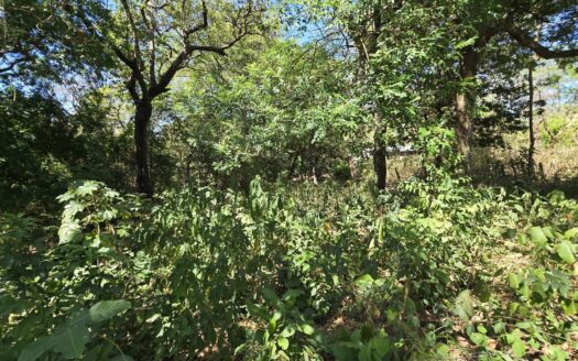 Lote en venta en Liberia – Las Delicias