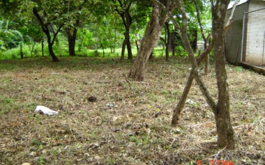 Lote en venta en Liberia – Las Delicias