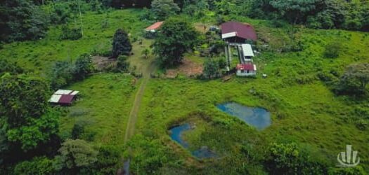 Finca en Venta en Pococí, Limón – Naturaleza, Agua y Gran Potencial de Desarrollo