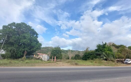 Lote en Venta Frente a la Costanera Sur | 7,5 Hectáreas para Desarrollo Mixto en Herradura