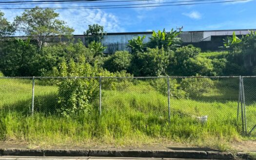 TERRENO INDUSTRIAL EN ALQUILER EN SAN FRANCISCO DE GOICOECHEA