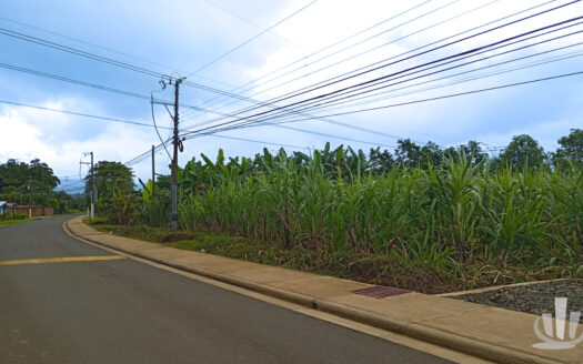Lote en Venta en Santa Lucía, La Fortuna de San Carlos | 1.308,87 m²