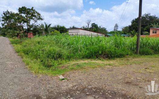 Lote Esquinero en Venta en Zona Fluca, La Fortuna de San Carlos | 1.349 m²