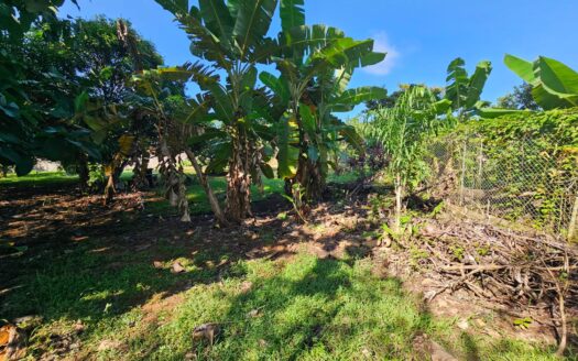 Lote en Venta en Quebrada Ganado, Garabito – Uso Mixto Cerca de Playa Blanca y Playa Mantas