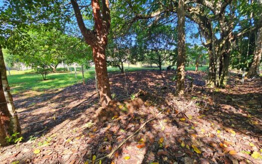 Lote en Venta en Quebrada Ganado, Garabito, Puntarenas – Uso Mixto Cerca de Playa Blanca y Playa Mantas